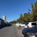 초당약품 | 강릉경포대횟집 피쉬맨대게횟집 경포대본점