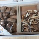 이상구표고농장 이미지