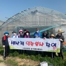 정성유통 이미지