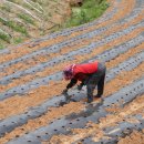 낙양경로당 이미지