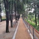 유수지공원 앞 이미지