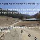 국유림속 자연인 오토캠핑 소형토지 부지 차량 진입 강원 홍천100평1천2백 이미지