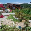 금성민박 이미지