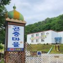 원주곤충마을박물관 이미지