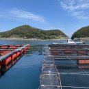 연화민박 이미지