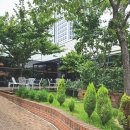 더 남산 보드카페 이미지