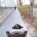 곤찌 이미지