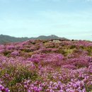 L.G산청 이미지