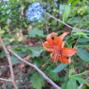 구정염소농장 이미지