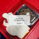 용인실내바다낚시터 | 용인 놀거리 데이트하기 좋은 실내낚시터 이색데이트 실내낚시 용인실내바다낚시터 추천