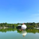 서울 무료 전시회 추천 국립중앙박물관 김홍도 조선백자