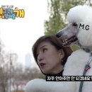브라이언스쿨 이미지