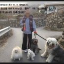 육일사 이미지