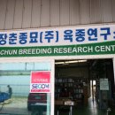 장춘농장 이미지