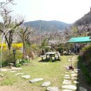 죽림산방 이미지
