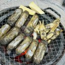 장모님숯과닭발 | 울산 야음동 실내노포 장모님숯불닭발 : 맛조개 구이 맛집