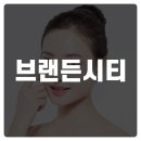 브랜든시티의원 이미지