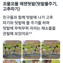 에덴아이어린이집 이미지