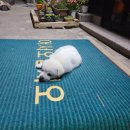 지에스(GS)25 뉴대구대후문점 이미지