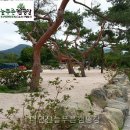 내연산늘푸른캠핑장 자연 속 여유, 직접 느껴봤어요