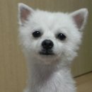 멍스하우스 이미지