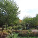 몽마르뜨공원 이미지