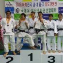 전남 유도관 Daum카페