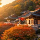 신촌역사관광안내소 | 강화도 역사문화 탐방 1박2일 🏛️ 서울 근교 힐링 여행지 추천!