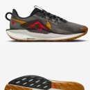 3864 | 나이키 페가수스 트레일 5 DV3864-009, 남성러닝화1 , 남성러닝화, 러닝입문