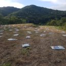 재호농장2 이미지