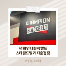 송빌리지 | 챔피언더블랙벨트 파주 운정 스타필드빌리지 오픈! 대형 키즈카페의 다양한 익스트림 놀이시설, 음식...