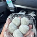 티오피렌트카 네이버블로그