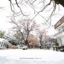 정포토스튜디오 이미지