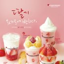요거프레소천안