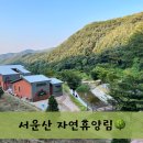 금광면사무소 주차장 | 서운산자연휴양림 경기도 안성 오토캠핑장 이용후기(야영시설 구역별 사이트, 시설, 이용요금, 장단점)