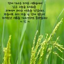 어느 날 문득 이미지