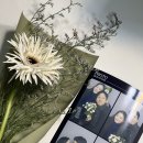 여운스냅 웨딩촬영 (정남 메이크업, 우아르 드레스, wwl스튜디오, 양화 한강공원)