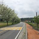 상야1리 이미지