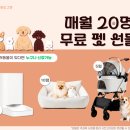 도그캣