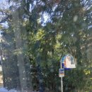 유수암리경로당 이미지