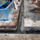 주문진활어회센타 이미지