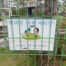 (입주민 전용게시판 중복글)반려견 산책 안되는 곳은 정확하게 공지나 푯말 부탁드립니다.(배드민턴장 반려견 금지구역인가요?) 이미지