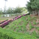 능내근린공원 축구장 이미지