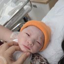 바디와이즈 | 운정와이즈병원 병실 입원~조리원까지/출산 및 입원...공포의 젖몸살 [초산모의 유도 + 자연분만 후기 2탄]