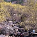 산수유민박 이미지