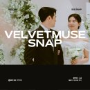 벨벳 | cn주안 결혼식 본식 서브스냅 아이폰 차이 벨벳뮤즈 솔직후기