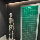 운동해야짐 | 광주 광산구 월곡동헬스장 그로브짐 4월 이벤트 운동 체형평가 후기