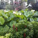 함평 경회루 이미지