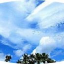 오만가지 이미지