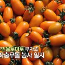지내고탄로 이미지